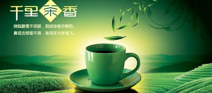 知乐茶叶加盟 知乐茶叶加盟