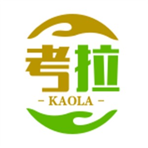 考拉儿童游乐园加盟