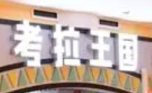 考拉王国儿童乐园加盟