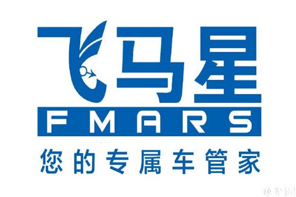 飞马星上门洗车加盟