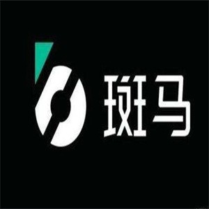 斑马约车加盟