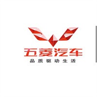 五菱新能源汽车加盟