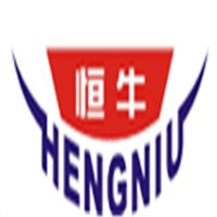 恒牛变压器加盟