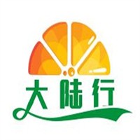 大陆行电动车加盟