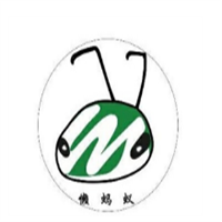 懒蚂蚁自助洗车加盟