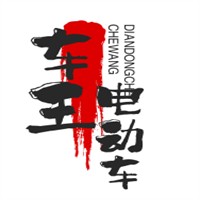 车王电动车加盟