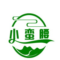 小蛮腰汽车坐垫加盟