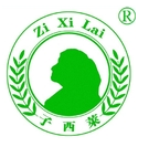 子西莱加盟