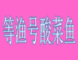 等渔号酸菜鱼加盟