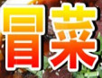 砂锅冒菜加盟